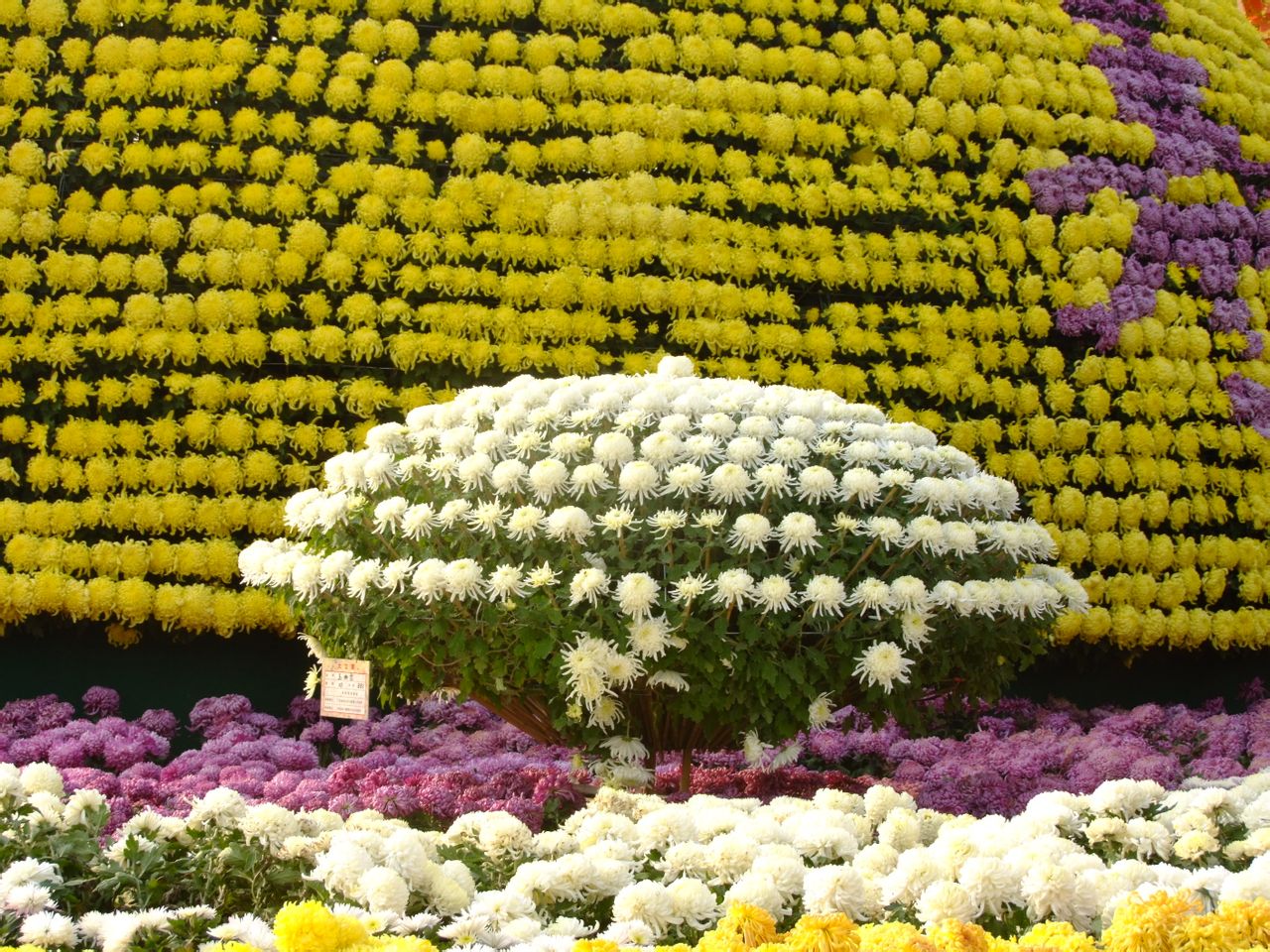 �����p���_(k��i)��� 2013�_(k��i)���չ����