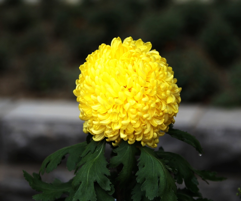 �����p���_(k��i)��� 2013�_(k��i)���չ����