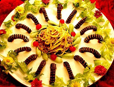 �����p���_��� 2013�_���չ����