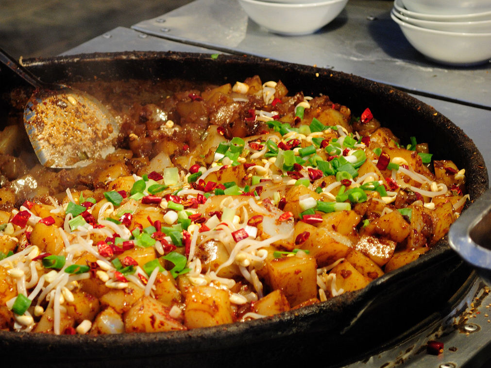 �����p���_��� 2013�_���չ����