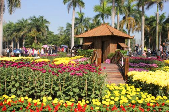 �ڶ����Ї�(gu��)�ջ��廨ˇ�g(sh��)չ�����ں��@�e��