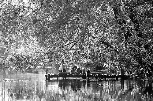 �h�x�m�̵�����¿h����Ŵ���