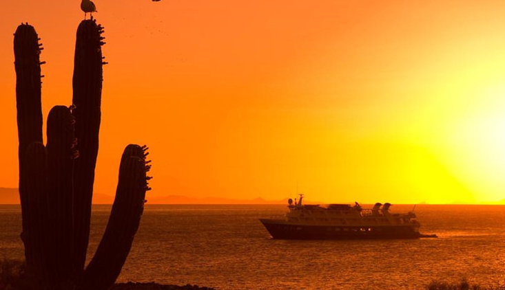 ȫ��7����������^�p��