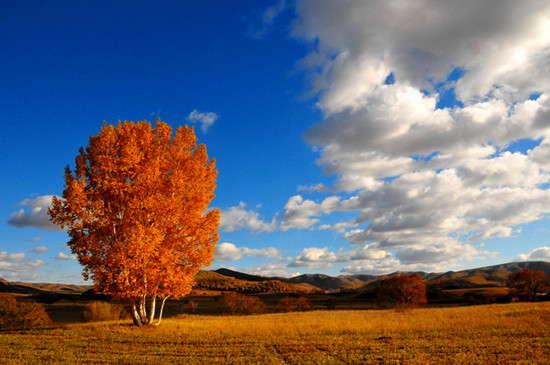 ����ʮ�� ����(n��i)�������ε����]