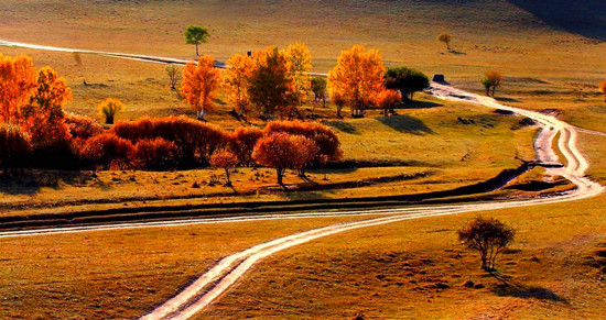 ����ʮ�� ����(n��i)�������ε����]