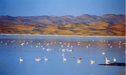  �v����ɳĮ