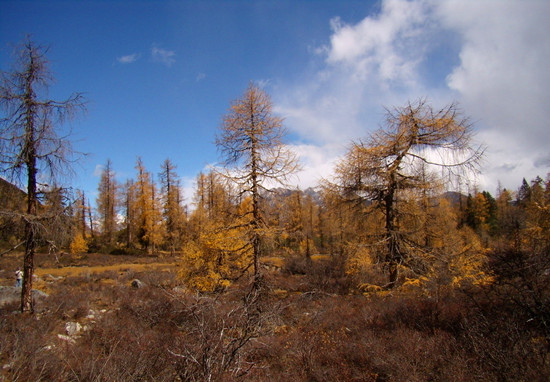 �p������(d��ng)�� &ldquo;��&rdquo;��������ɫ