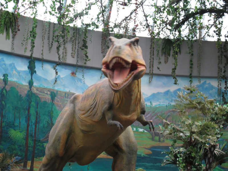 ���{����������z�E�@ �w��Ͻ�X��ѩ��