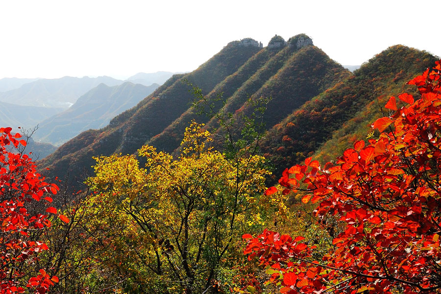 ʡ��(n��i)���{�p�t�~ ����ȥ���]��