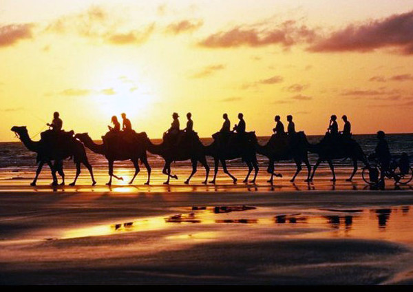 ���߽z�I֮· 20�v�W���Ϡ�܇��6�������