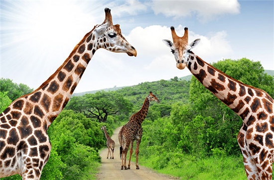 ȫ��ʮ����ֵ��ȥ�ć��ҹ��@