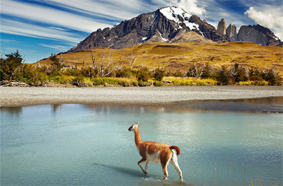 ȫ��ʮ��(g��)��ֵ��ȥ�ć�(gu��)�ҹ��@