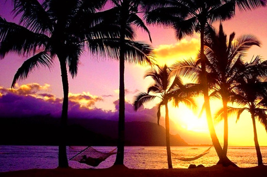 11�²��ò�ȥ�ć�(gu��)��(n��i)���T(m��n)���ε�