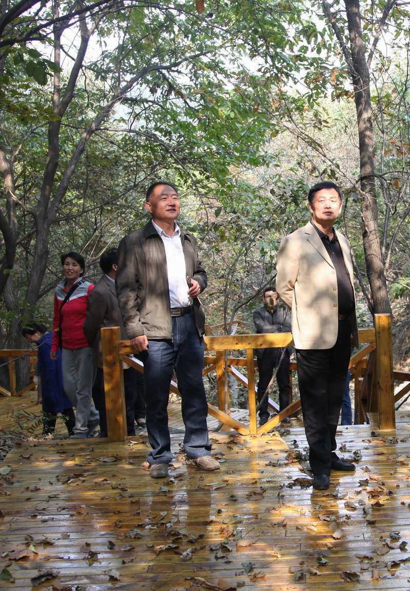 �v�R�������f(xi��)ί�Tҕ�����ι���