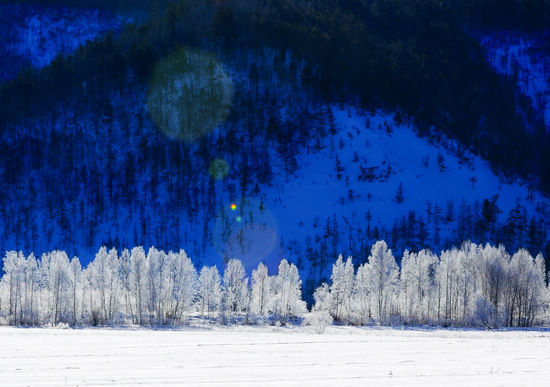 11�²��ò�ȥ�ć���(n��i)���T���ε�