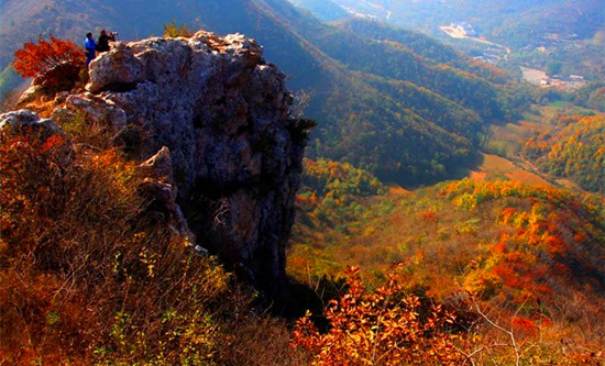 �p�t�~���� ���δ���կ���^(q��)