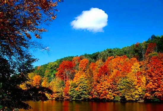 ���˴����{�ٵ� �p���՗���ʢ�� 