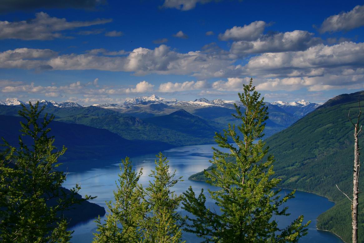 ���˴����{�ٵ� �p���՗���ʢ�� 