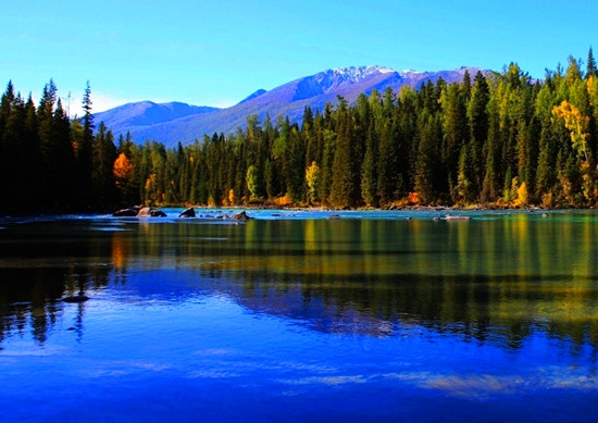 ���˴����{�ٵ� �p���՗���ʢ�� 