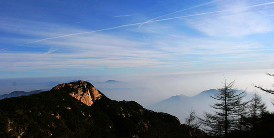 �ž����(y��ng)ȥ�Ǹ� ��(gu��)��(n��i)��ɽ��ȥ̎