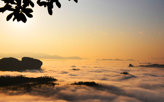 �ž����(y��ng)ȥ�Ǹ� ��(gu��)��(n��i)��ɽ��ȥ̎