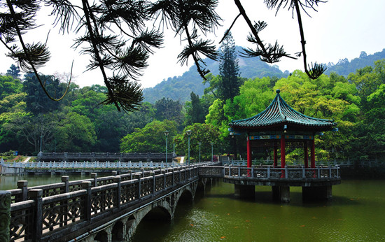 �ž����(y��ng)ȥ�Ǹ� ��(gu��)��(n��i)��ɽ��ȥ̎