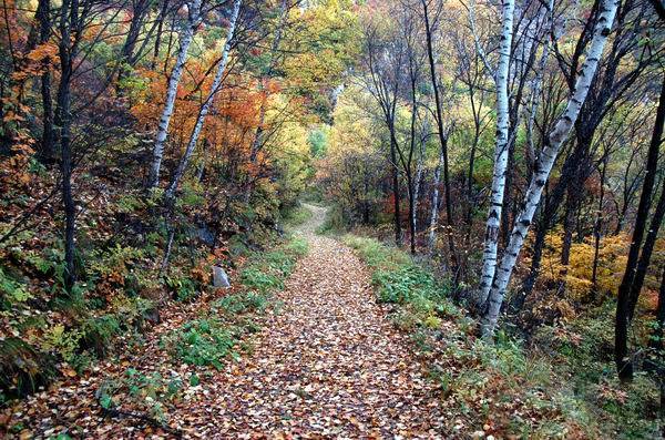 ��ߚ�ˬ ������εǸ�ȥ