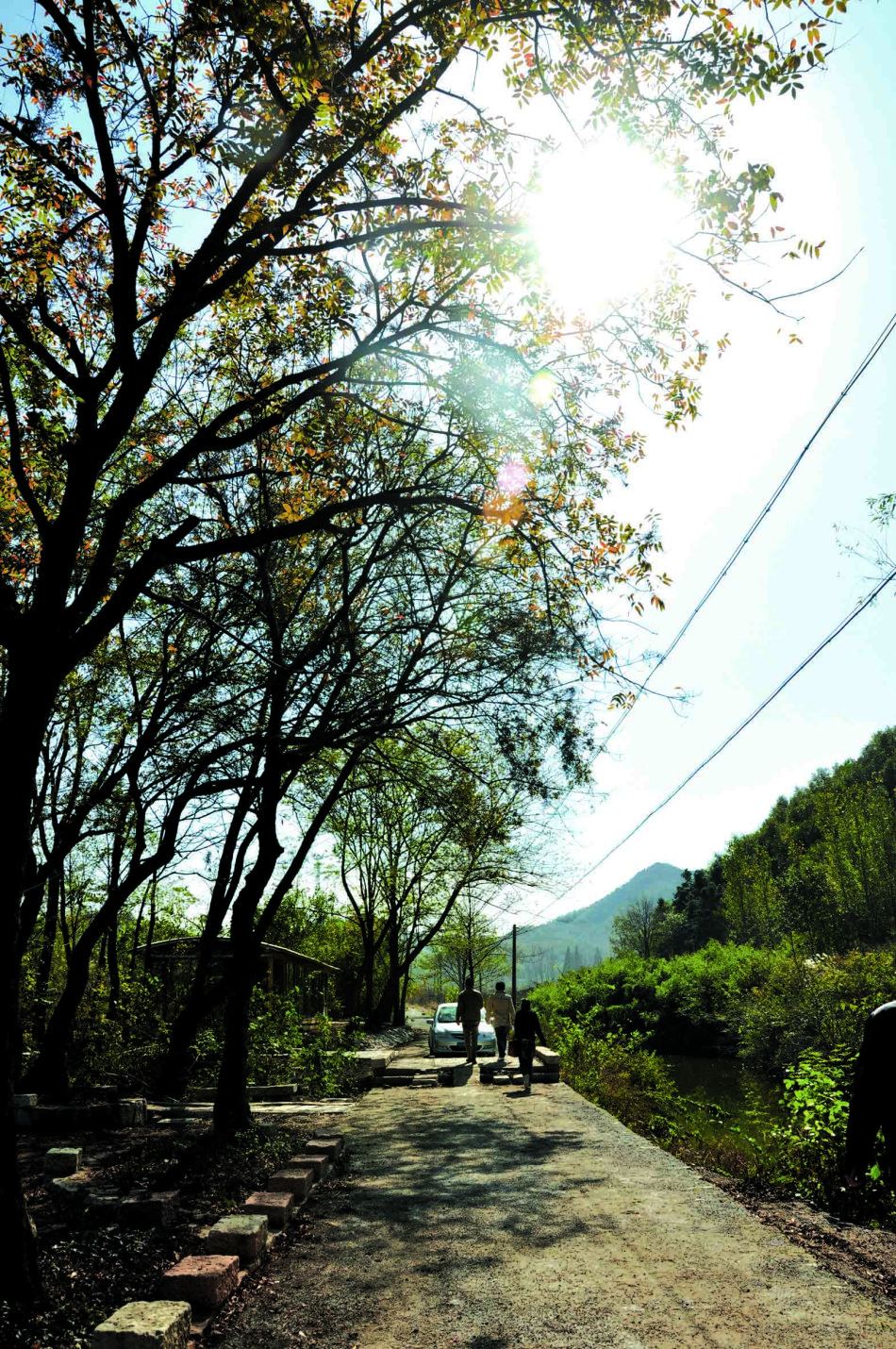 ��ꖺ��ã�һĨ������Ї���