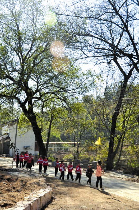 ��ꖺ��ã�һĨ������Ї���