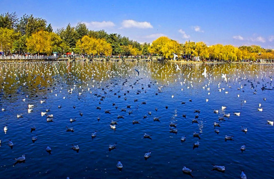 �Ї�ʮ������Ҹ��г��О����ҕ�