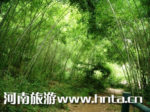 ʡ��(n��i)ͽ��5��·�� ���ɾͳ��l(f��)