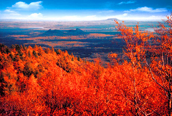 �ﶬ�ݜ�Ȫ?ji��ng)e���L(f��ng)ζ �ݜ��ٵ��H�����]