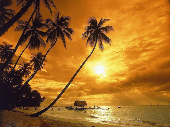 �S���B���w �_����ů֮�� 