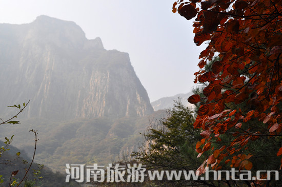 &ldquo;��ԭ�����꿨ֱͨ܇&rdquo;����������ԭ��һ��&mdash;&mdash;�Pɽ���ҵ��|(zh��)���@ 