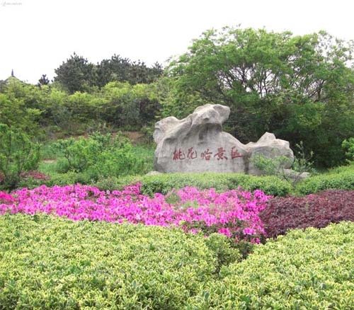 �P�c��������Ó��� �D(zhu��n)��������