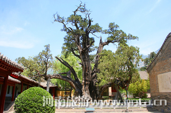 ����ʮ��������ξ��c(di��n)