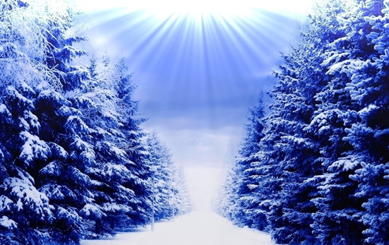 �w򞺮������ �P�c����(n��i)��������ξ�·