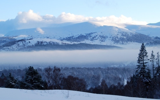 �w�(y��n)�������� �P�c(di��n)��(gu��)��(n��i)��������ξ�·