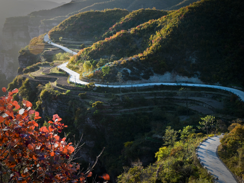 �ӱܳ��е����� ̽�L����������������