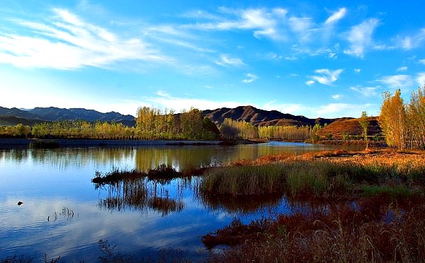 �P�c(di��n)��(gu��)��(n��i)���������İ˴��T������