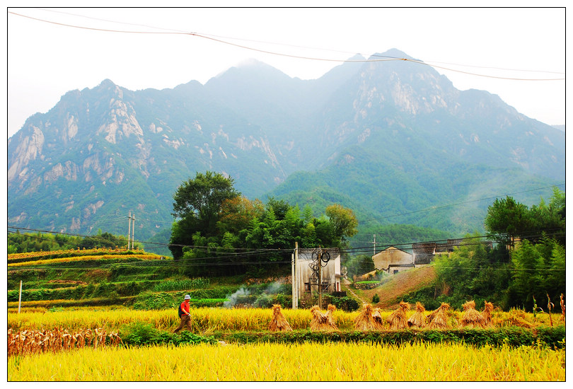 �P�c����(n��i)���������İ˴��T������