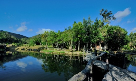 �Ї�����ʮ��ɭ��