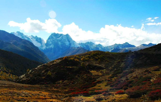 �Ї�����ʮ��ɭ��