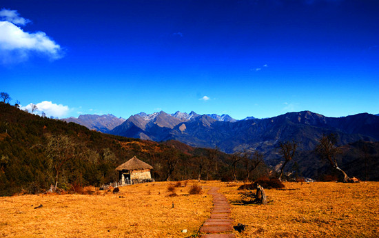 �Ї�����ʮ��ɭ��