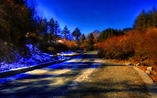 �Ї�����ʮ��ɭ��