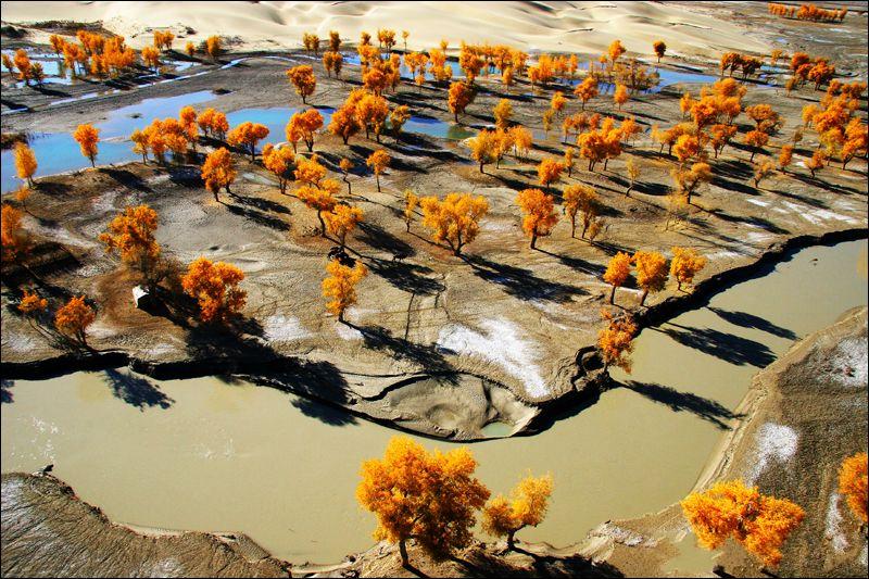 �Ї�(gu��)����ʮ��ɭ��