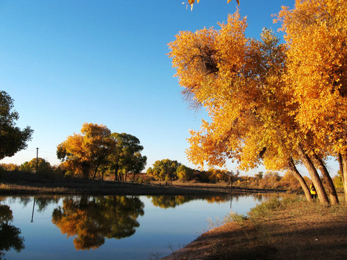 �Ї�(gu��)����ʮ��ɭ��