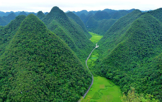 �Ї�����ʮ��ɭ��