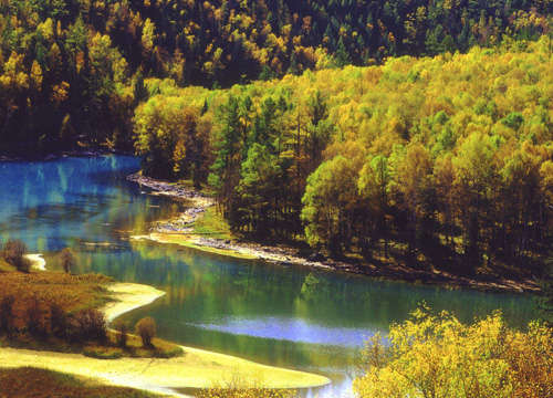 �Ї�����ʮ��ɭ��