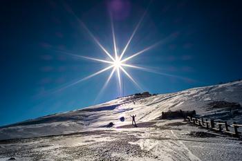 �Ї�����ʮ��ɭ��